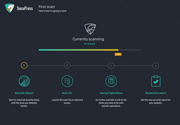 How easy it is to use the Secupress plugin