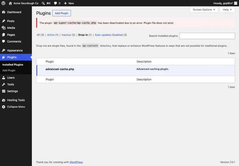 WordPress Plugins screen showing the missing plugin file error and the Drop-in filter holding advanced-cache.php