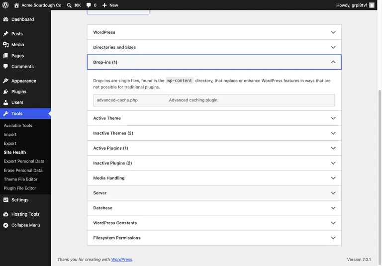 WordPress Site Health Info screen with the Drop-ins section expanded, listing advanced-cache.php